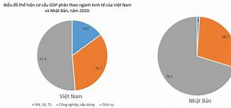 Cơ Cấu Nền Kinh Tế Của Nhật Bản Năm 2022