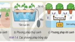 Công Nghệ Nông Nghiệp 10 Kết Nối Tri Thức Pdf