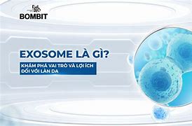 Exosome Là Gì