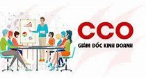 Giám Đốc Kinh Doanh Là Gì Trong Tiếng Anh