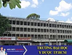 Sau Đại Học Y Dược Thành Phố Hồ Chí Minh