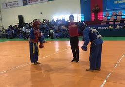 Vovinam Đối Kháng