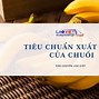 Xuất Khẩu Chuối Sang Nga